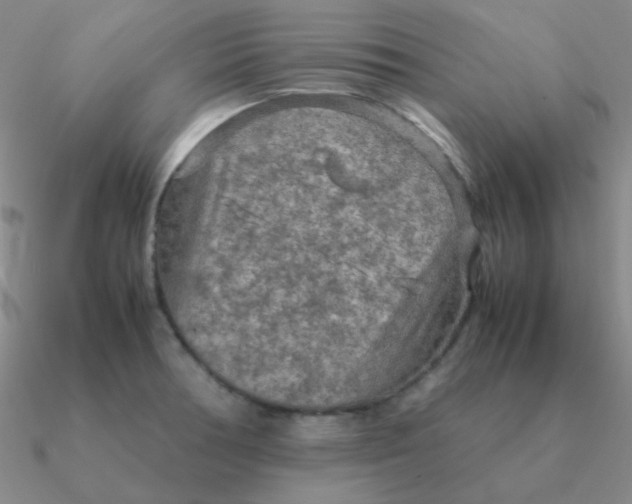 X0000090621378200708071216