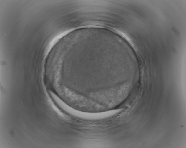 X0000090621379200708071216