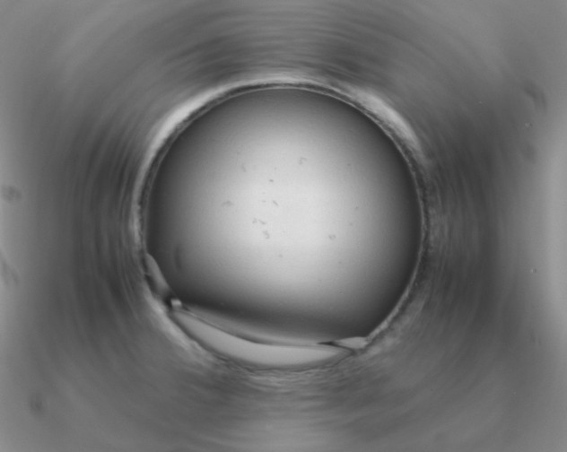 X0000090621380200708071216