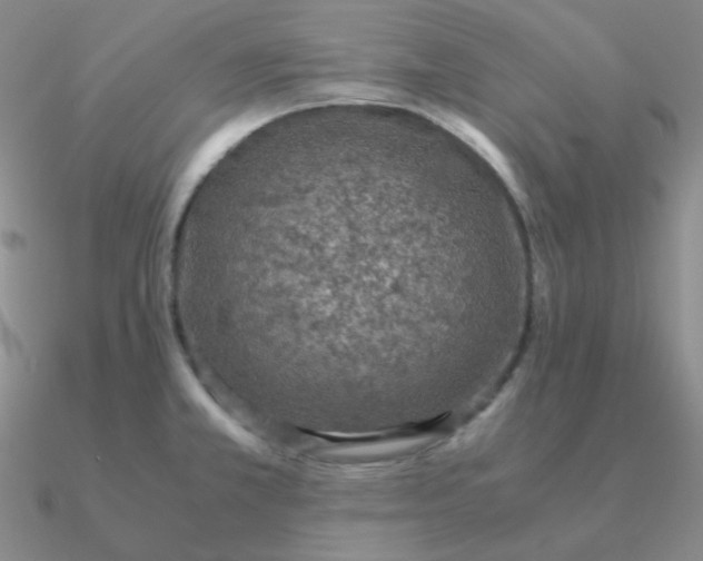 X0000090621381200708071215