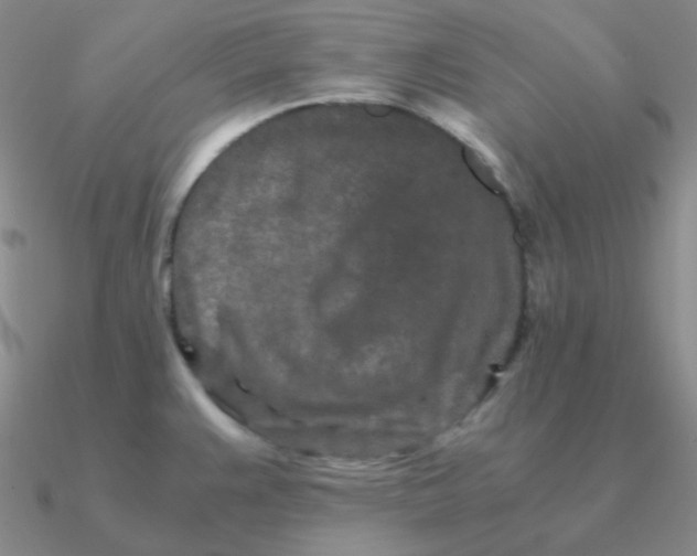 X0000090621383200708071215