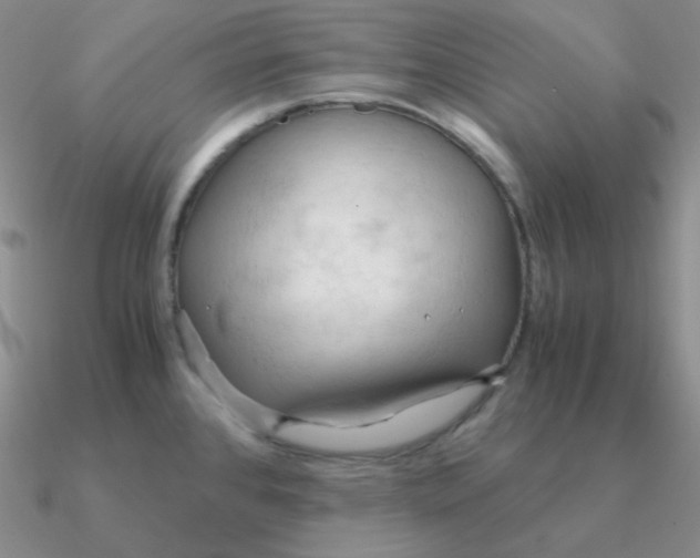 X0000090621384200708071215