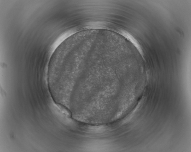 X0000090621386200708071215