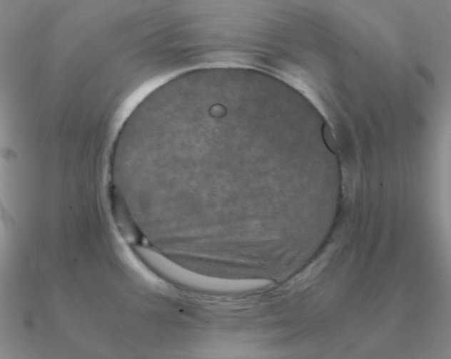 X0000090621387200708071215