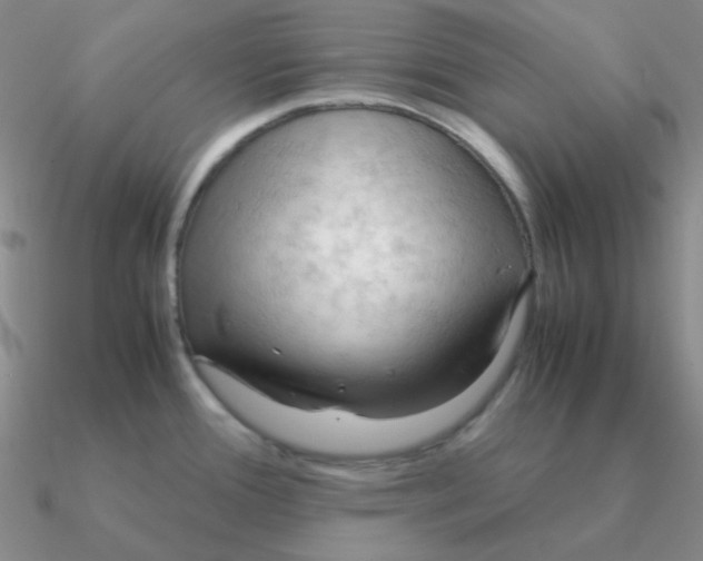 X0000090621388200708071215