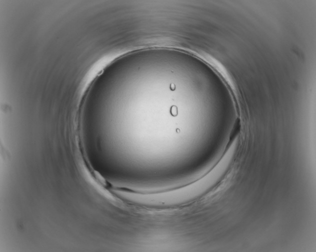 X0000090621389200708071215