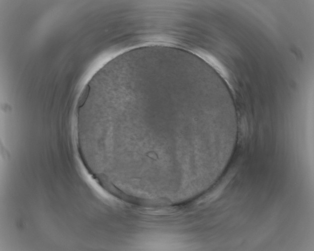 X0000090621391200708071215