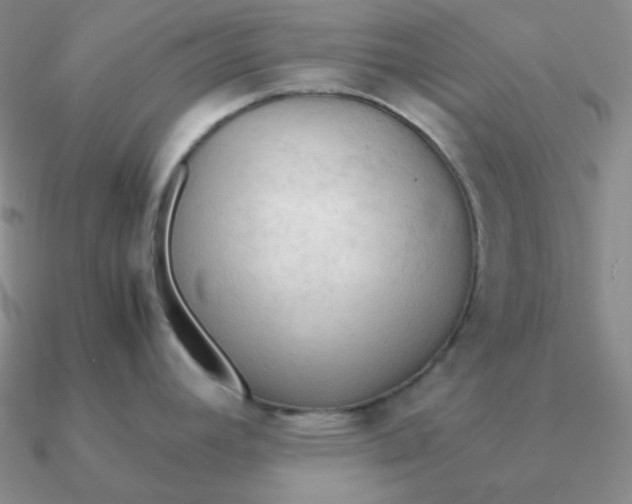 X0000090621392200708071215