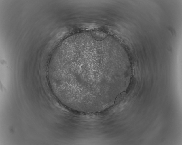 X0000090621393200708071215