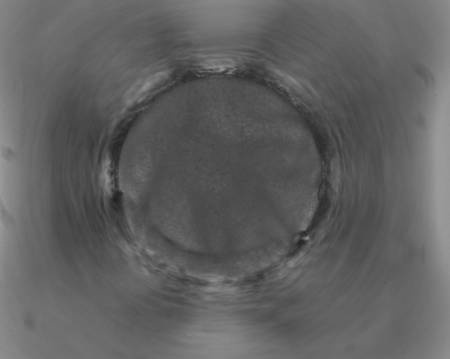 X0000090621394200708071215