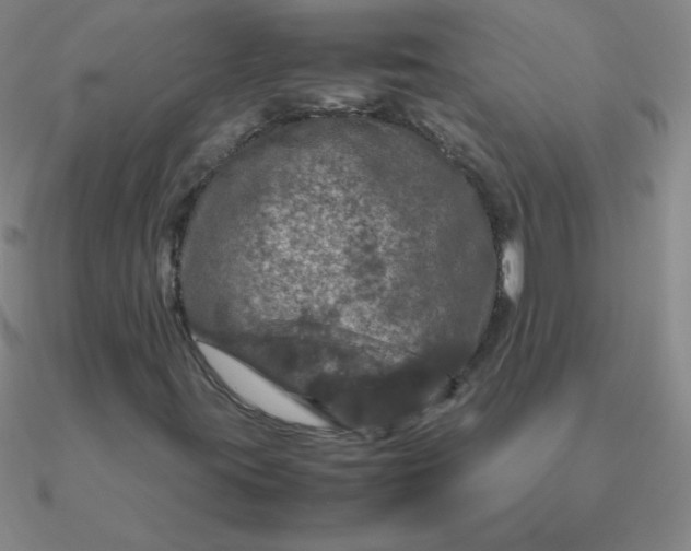 X0000090621395200708071215