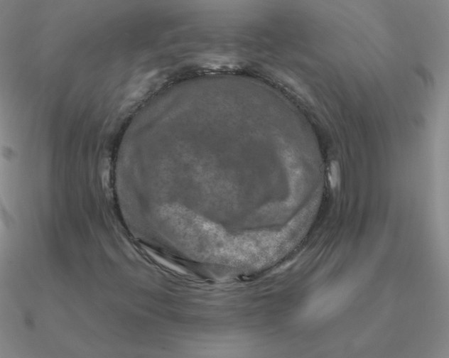 X0000090621396200708071215