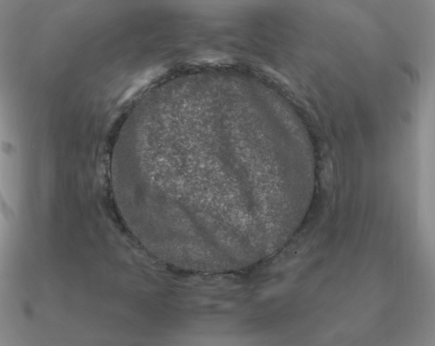 X0000090621397200708071215