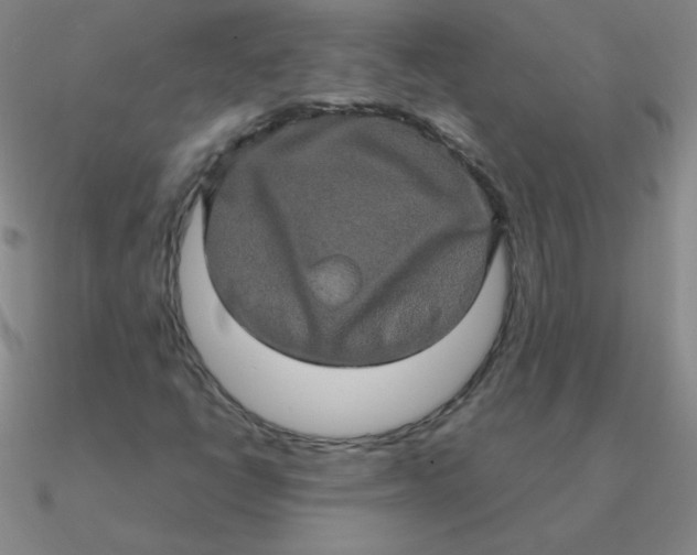 X0000090621398200708071215