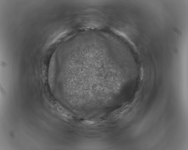 X0000090621399200708071215