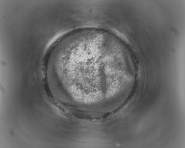 X0000090621400200708071215