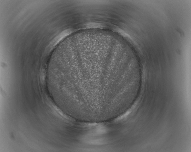 X0000090621401200708071215