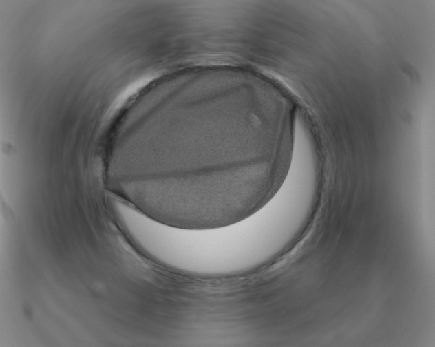 X0000090621402200708071215