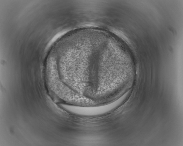 X0000090621404200708071215