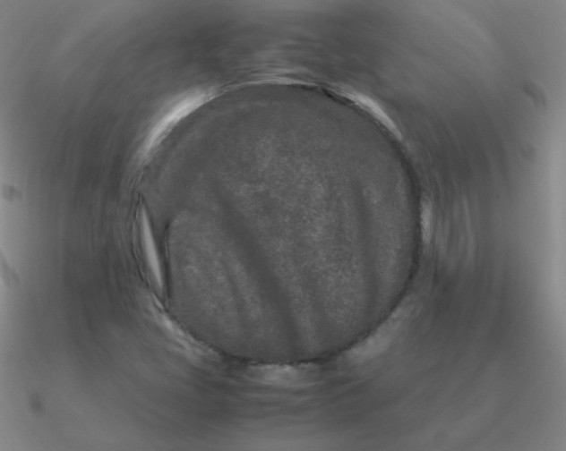 X0000090621405200708071215