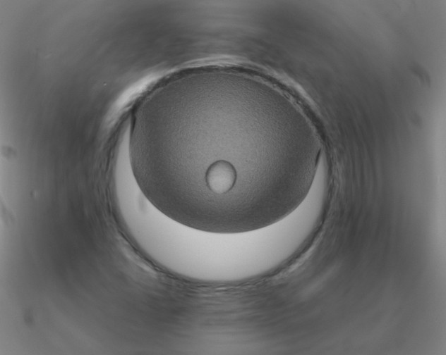 X0000090621406200708071215