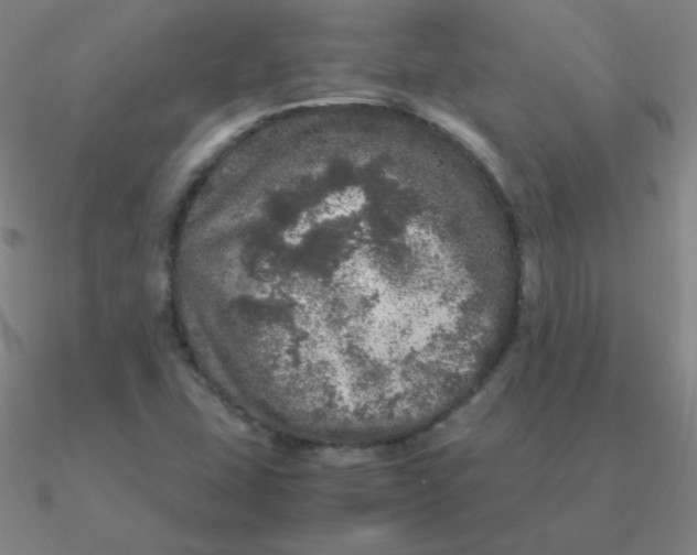 X0000090621407200708071215