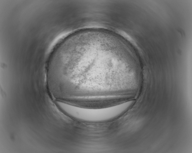 X0000090621408200708071215