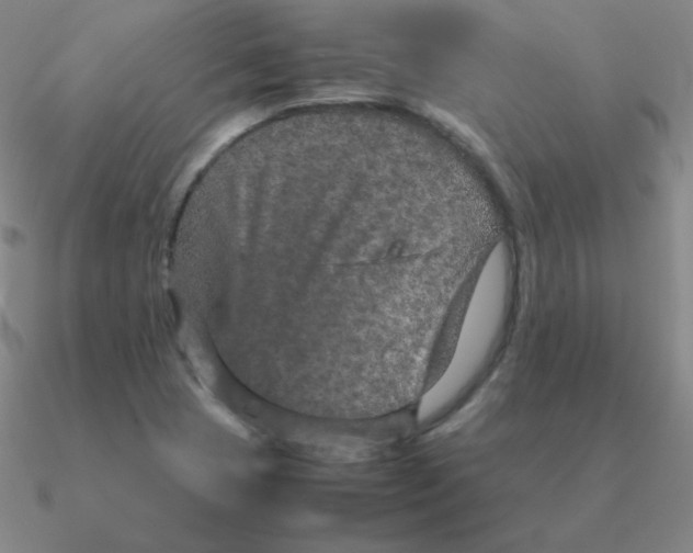 X0000090621409200708071215