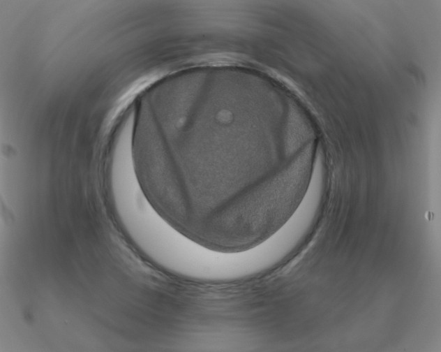 X0000090621410200708071215