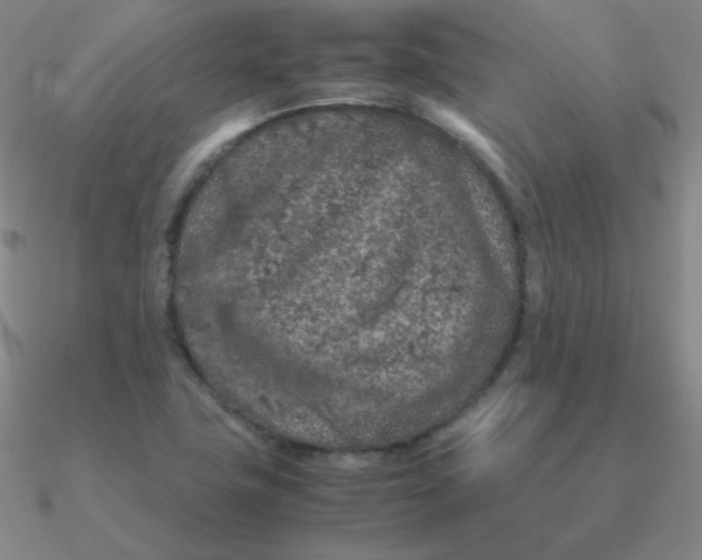 X0000090621411200708071215