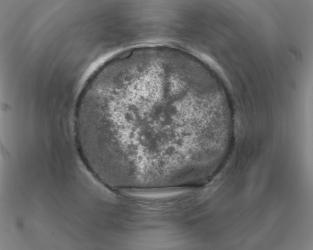 X0000090621412200708071215