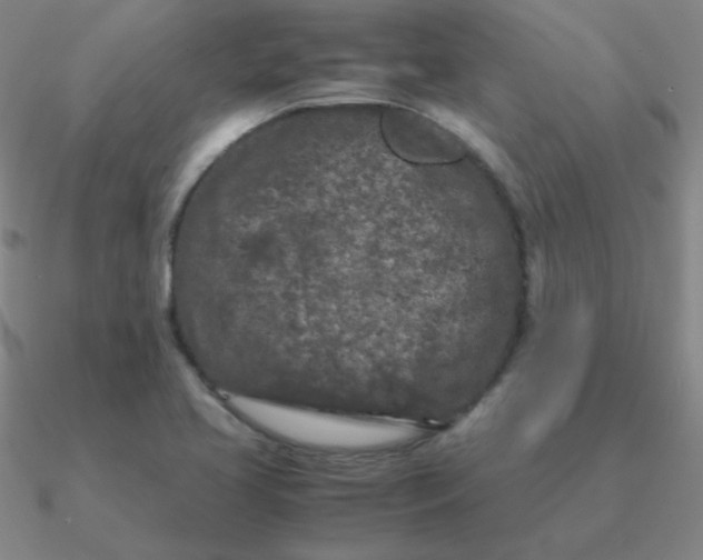 X0000090621413200708071215