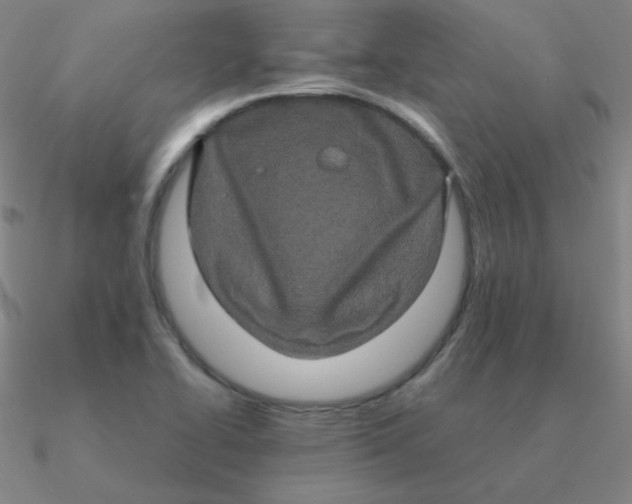 X0000090621414200708071215