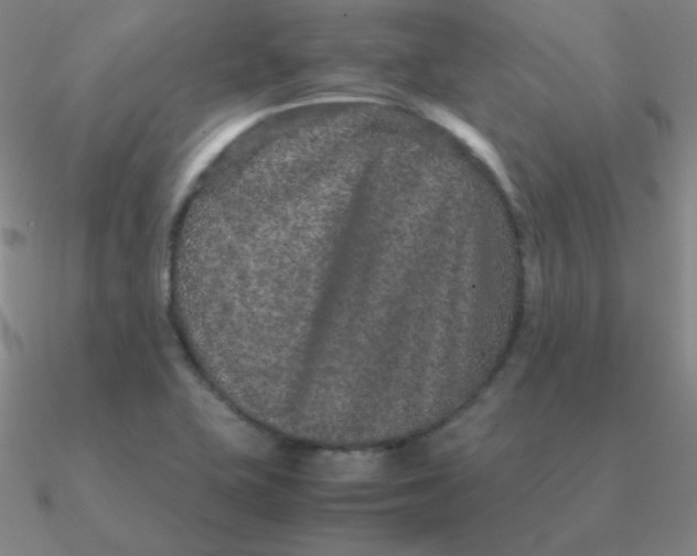 X0000090621415200708071215