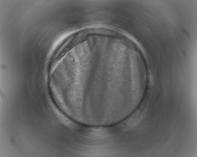 X0000090621416200708071215