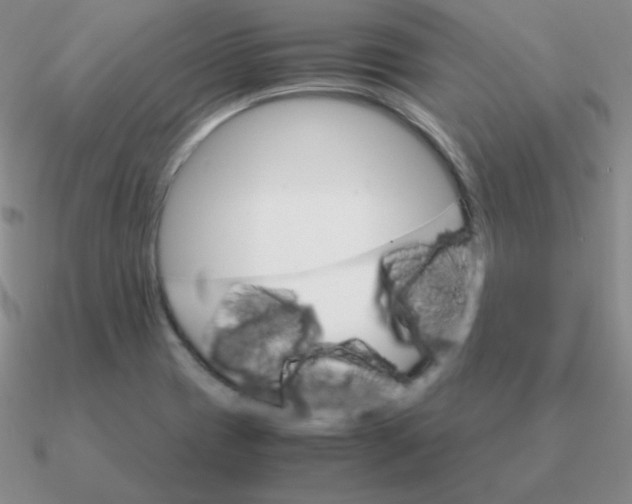 X0000090621417200708071215