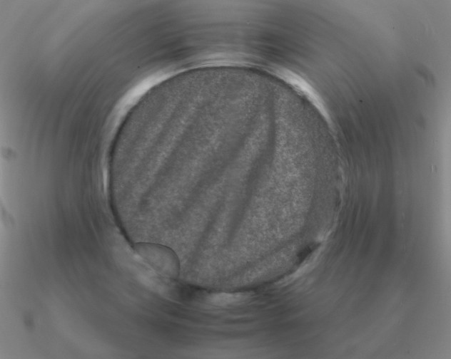 X0000090621419200708071215