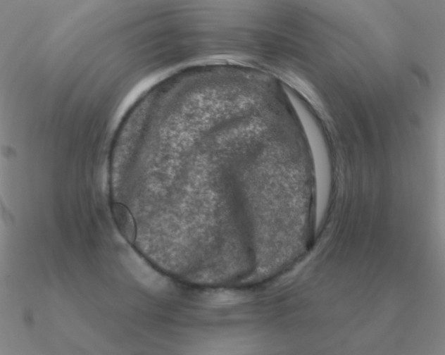 X0000090621420200708071215