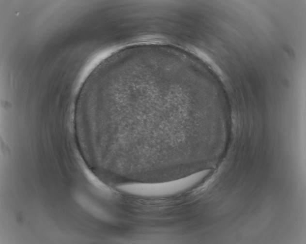 X0000090621421200708071215