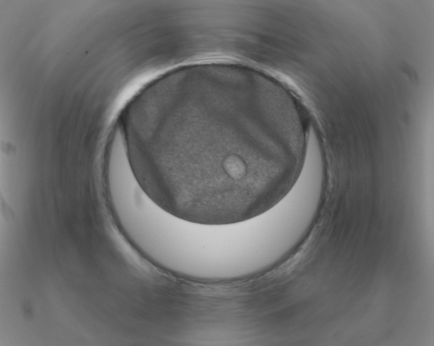 X0000090621422200708071215