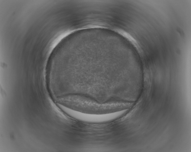 X0000090621423200708071215