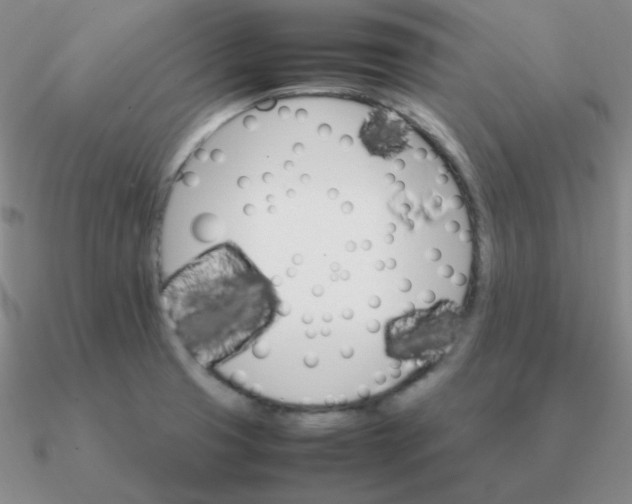 X0000090621425200708071215