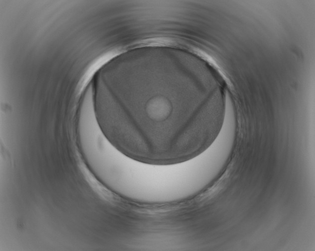 X0000090621426200708071215