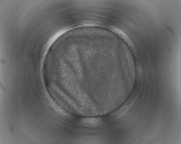 X0000090621427200708071215