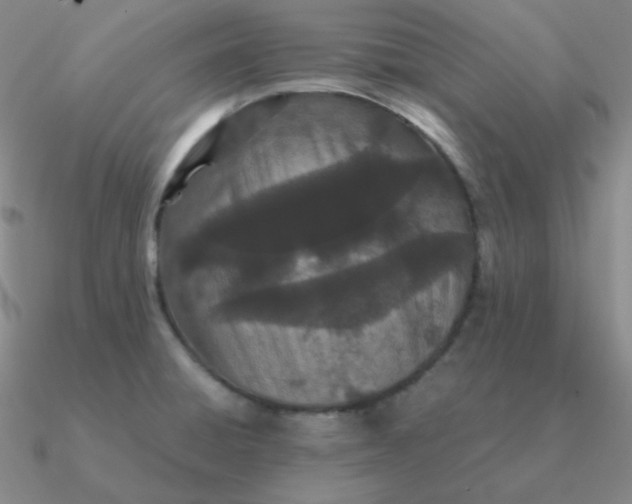 X0000090621428200708071215