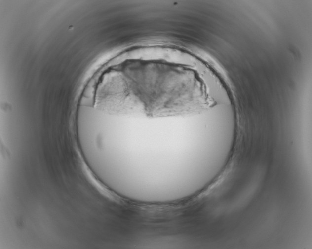 X0000090621429200708071215