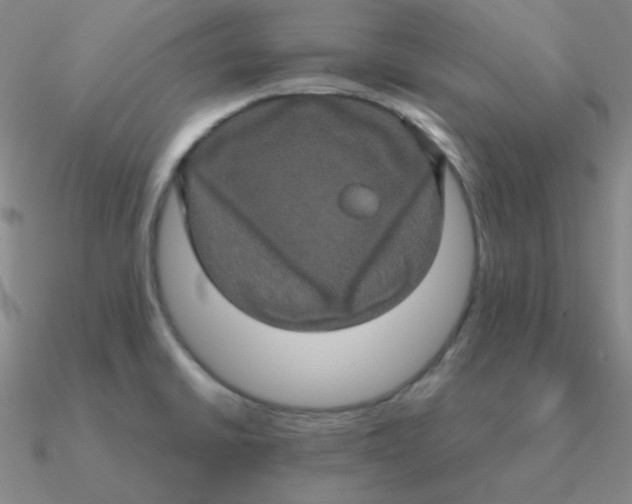 X0000090621430200708071215