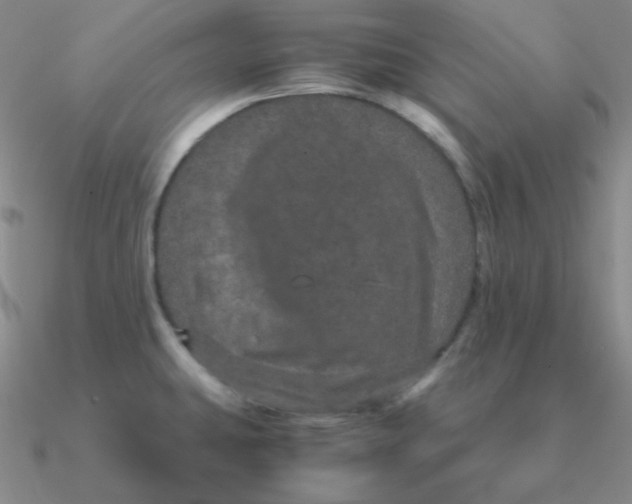 X0000090621431200708071215