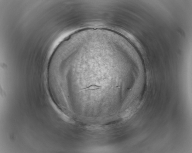 X0000090621432200708071215