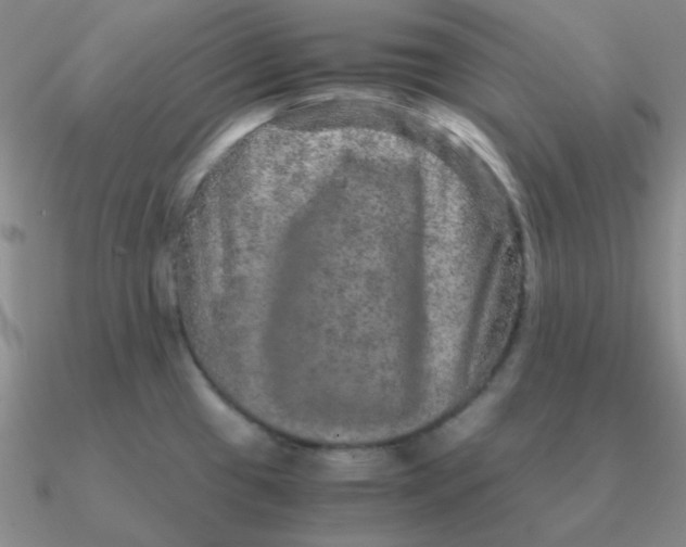 X0000090621433200708071215